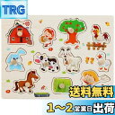 DELUXEFOX 木製パズル 子供 型はめパズル 赤ちゃん モンテッソーリ 玩具 知育玩具 パズル 2 3 4 5 歳 幼児早期開発 形合わせ 形認識 色認知...