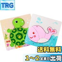 DELUXEFOX 木製パズル 2個セット 型はめパズル 赤ちゃん モンテッソーリ 知育玩具 1 2 3 歳幼児早期開発 形合わせ 形認識 色認知 色彩感覚 脳...