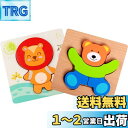DELUXEFOX 木製パズル 2個セット 型はめパズル 赤ちゃん モンテッソーリ 知育玩具 1 2 3 歳幼児早期開発 形合わせ 形認識 色認知 色彩感覚 脳...