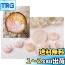 YAMOXLS シーリングワックス ワックスビーズ セット 封蝋 玉形 混色 パールカラー 可愛い 小粒 ラメ 手紙 DIY 強い密着性 25粒入り 便箋 装飾 手作り パーティー 結婚式 祝福 告白 祝い ギフト 封筒 記念日 招待状 (春日の幻)