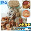 YAMOXLS シーリングワックス ワックスビーズ セット 封蝋 玉形 可愛い 小粒 混色 パールカラー ラメ 手紙 DIY 強い密着性 25粒入り 便箋 装飾 手作り パーティー 招待状 結婚式 祝福 告白 祝い ギフト 封筒 記念日 (夕闇の響き)