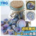 YAMOXLS シーリングワックス ワックスビーズ セット 封蝋 玉形 可愛い 小粒 混色 パールカラー ラメ 手紙 DIY 強い密着性 25粒入り 便箋 装飾 手作り パーティー 招待状 結婚式 祝福 告白 祝い ギフト 封筒 記念日 (春日バレエ)
