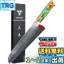 SANMUZUO 8インチ ブレッドナイフ 鋸歯状刃 - 鋭い波状エッジ キッチンナイフ ダマスカス鋼と樹脂ハンドル - Xuan シリーズ (ファンタジーオレ...