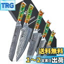 SANMUZUO Kitchen Cooking Knife Set - 5 Pieces Chef Knives- Forged Damascus Steel...