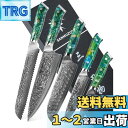 SANMUZUO Chef Cooking Knives Set- Kitchen Knife Set of 5 Piece - Ultra-Sharp VG1...