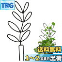 YUWENW 園芸支柱 植物支柱 1セット 花ささえ 花支え 植物サポート 観葉植物 成長サポート 植物倒れ防止 手で調整可能 再利用可能 植物固定 植物成長 ...