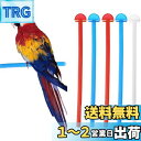 PAVIKE プラスチック鳥かご止まり木 オウム鳥立ちスティック とまり木 インコ 研削爪バー PP 小鳥用 止まり木 【5点セット】26.5cm 鳥止まり木セット 取り付け簡単 バランス練習 爪を磨く 遊び道具 鳥 爪研ぎ止まり台 鳥用パーチ 爪を研ぎ パーチ インコ オウム 鳥 オウ