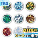 PAVIKE ネイルグリッターラメ ネイルホログラム 8色セット ネイルアートパウダー 極薄 ネイル飾り 夢のようで魅力的 ネイルスパンコール オーロラネイル飾...