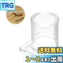 PAVIKE ペット給水器 蟻の給水器 爬虫類の餌皿 コオロギの給水器 アリの餌入れ 透明 クリア アリを飼う 昆虫用餌 アリ農場アクセサリー 蟻の給水器カップ アリの餌付けツール 掃除が簡単 小型、安定 使い易い 3*4cm