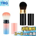 PAVIKE チーク用ブラシ 化粧ブラシ 2色入り パウダー用ブラシ 伸縮式デザイン フェイスブラシ 持ち運び便利 フェイスパウダーブラシ かわいい 多機能 ト...
