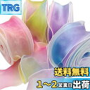 PAVIKE オーガンジーリボン リボン リボン 手芸 4本入り 虹色 オーガンジー 巾着 リボン ラッピング 薄地 軽い 透け感 花束 ウェディング 手芸リボ...