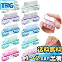 GLOWZEN 爪ブラシ 手洗い用 爪垢取り 10個セット 5色 ネイルケア 爪の間 手 爪 洗う 清潔 爪掃除