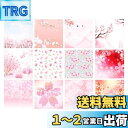 YUWENW 両面印刷 折り紙 100枚入り おもしろい 正方形 カラー ハンドペーパ 両面 かわいい 桜 柄 折りたたみ紙 DIY 手作り ペーパーアート ざいりょう 趣味 子ども レクリエーション 手工芸品
