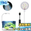 PAVIKE 水槽 ライト LED 14ランプ 四色ライト 小型水槽 ライト 水槽照明 アクアリウムライト クリップ式水槽ライト 360度調整 曲げ可能 観賞魚...