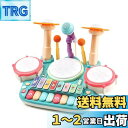 Cute Stone 楽器 おもちゃ 5in1遊び方 ドラムセット ピアノ 子供おもちゃ マイク付き 4種類 ピアノモード ドラムモード 鍵盤楽器 ライト効果 多機能 知育玩具 誕生日 プレゼント