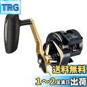 ダイワ(DAIWA) 21 ソルティガIC 300H-SJ