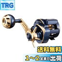 ダイワ(DAIWA) 21 ソルティガIC 100
