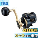 ダイワ(DAIWA) ジギング 21 ソルティガIC 300