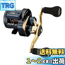 ダイワ(DAIWA) 21 ソルティガIC 100PL-DH