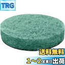 Bosch DIY(ボッシュ) BRUSH用アクセサリー キッチンパッド3枚入り 1600A023L0 緑
