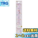 スケーター (skater) 食洗機対応 アクリル 箸 21cm ツインスター ハピネスガール サンリオ AAC45
