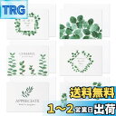 Sitengle メッセージカード 感謝カード 封筒付き 封筒テープ付き グリーティングカード 祝賀カード シンプル ビジネス 招待状 結婚式 お祝い手紙 挨拶...