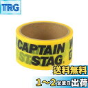 キャプテンスタッグ(CAPTAIN STAG) 養生テープ マスキングテープ CSデザインテープ 幅48mm×長さ10m イエロー UM-1553