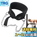 Smilerain 懸垂 ベルト 加重ベルト ディプスベルト ディッピングベルト トレーニングベルト 耐久性 付け心地が良い チェーンの長さ調節できる 丈夫で使...