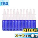 Frcolor 点鼻スプレーボトル 30ml 空容器 ミニスプレー 詰め替えボトル 遮光 プラスチック製 ドライノーズ対策 10本セット(ブルー)
