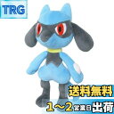 三英貿易(Sanei Boeki) ポケットモンスター ALL STAR COLLECTION リオル (S) W12×D9.5×H25.5cm ぬいぐるみ ポケモン PP174