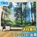 Pknoclan 森の光 タペストリー 木 自然風景 大判 壁掛け 風景画タペストリー 新緑の並木 多機能壁掛け モダンなアート 布ポスター 模様替え 部屋 窓...