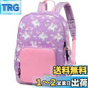 VASCHY リュック キッズ, 可愛い 子供 女の子 バックパック 軽量 幼稚園 通園 保育園 低学年 小学生 ディパック ギフト チェストベルト付き ピンク...