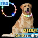 Sazuik 最新型 犬用光る首輪 発光 usb充電式 装着簡単 柔らかい 軽量 サイズ調整可能 ペット 猫 LED 安全対策 視認性 3つの発光モード (レイ...