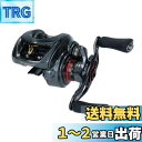 ダイワ(DAIWA) ベイトリール 19 スティーズ CT SV TW 700SHL(2019モデル)