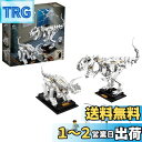 レゴ(LEGO) アイデア 恐竜の化石 21320