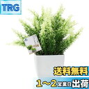 TOSSOW 人工観葉植物 造花 フェイクグリーン フェイク観葉植物 四方鉢 インテリア プレゼント 浅緑葉