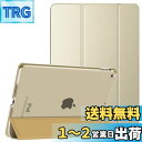 Dadanism 第9/8/7世代 アップル iPad 10.2インチ 2021/2020/2019モデル 半透明 カバー スタンドケース オートスリープ機能 軽量 薄型 PU+PC マイクロファイバー裏地 耐久性 全面保護 スターライト(2)