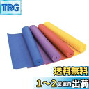 キャプテンスタッグ(CAPTAIN STAG) 筋トレ エクササイズ フィットネス ヨガ ヨガマット 61×173cm 厚さ0.3mm ブルー Vit Fit UR-865