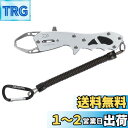 ダイワ(DAIWA) フィッシュグリップV 170 シルバー