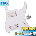Yibuy ホワイト 11Hole 有線プレートピックガード HHハムバッカー ギター用
