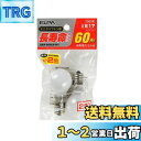 エルパ(ELPA) 長寿命ミニクリプトン球 電球 照明 間接照明 E17 54W ホワイト 2個入 GKP-542LH(W)