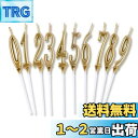 Phyxiul バースデー ナンバー キャンドル 0〜9 10点セット 誕生日 お祝い 高級 ろうそく 記念日キャンドルウエディングパーティー卒業パーティー (...