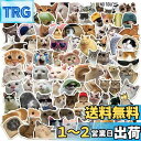 ねこステッカーセット 100枚 キャット防水ステッカー 猫シールパック にゃんちゃんブランドステッカー スーツケース 車 バイク ヘルメット スケボー ギターなどに適用