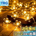 GOODCHI フェアリーライト電飾led イルミネーションライト 可愛くて小さなボール 電池式 ワイヤーライト 6M40個 LEDライト 防水 クリスマスオーナメント 結婚式 誕生日 キャンプ用 パーティー電飾 (桜の花)