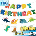 HaHaHa! 恐竜 誕生日 レターバナー 飾り ガーランド デコレーション HAPPY BIRTHDAY バースデー パーティー装飾 男の子 お祝い 記念日 (恐竜)