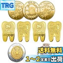 BTtime 歯の妖精コイント 8枚入り 褒美金貨記念コイン 歯と交換するコイン 乳歯生え変わり期 遊び道具 乳歯生え変わり記念 収納袋付き