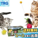 【送料無料】Vihir 猫 おもちゃ ボール 羽のおもちゃ ねこのおもちゃ 知育玩具 ダルマ だるま 猫のプレゼント 寂しさ解消 ストレス解消 運動不足対策のペ...