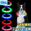 Sazuik 犬 光る首輪 12つ発光モード 多色発光 ペット LED首輪 USB充電式 サイズ調整可能 装着簡単 柔らかい 犬 猫 夜散歩ライト 軽量 安全対策 視認性 小型・中型・ 大型犬 (ホワイト)