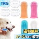 BTtime ペットフィンガー歯ブラシ シリコン 指サック 4個セット 360°歯ブラシ シリコン犬の歯ブラシ指ブラシ 猫犬通用(ピンク、ブルー、ホワイト、イエ...