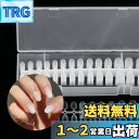 Annhua ネイルチップ 透明 艶消 大容量 300枚 オーバル ショート ネイルちっぷ 練習用 付け爪 ネイル長さだし 透明ネイルチップ 無地 超薄 ネイル...